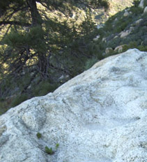 Trail cut in the rock