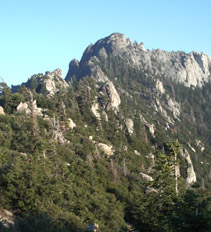 Looking up toward the Desert Divide