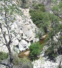 Dramatic Deep Creek gorge