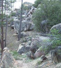 Hope there's no cougar in those rocks!