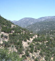 Trail a'winding down below