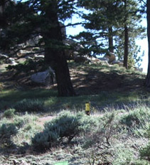 What's with the little yellow markers?