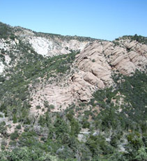 Awesome FOLDED rock strata