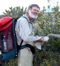 Bill beating the bushes to get rid of Mojave Greens--we hope!