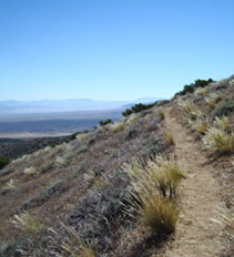 The PCT in the Tehachapis--before the motocross mess