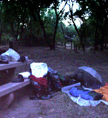 Camp at Caswell State Park