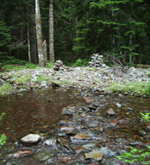 Niiiice--steppingstones across Hunt's Creek