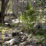 may13_creekbedmarker