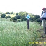 may23_11trailsignpost