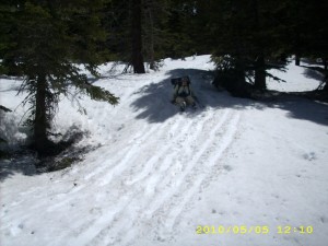 may5_snowtrail4