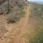 may7_c2_trail