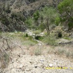 may7_trail