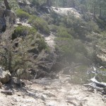 may8_c2_trail