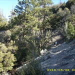 may8_trail