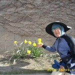 may9_yellowflowers