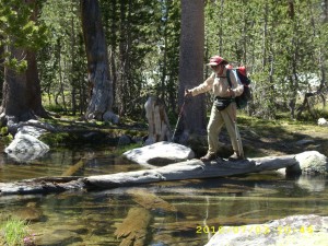 3july5logcrossing