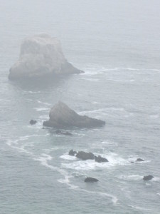 IMG_0475